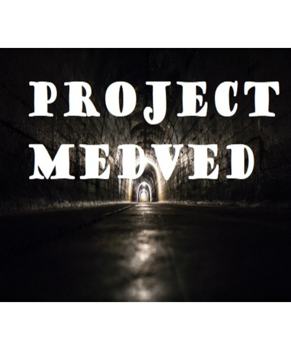 Project Medved Steam Key GLOBAL